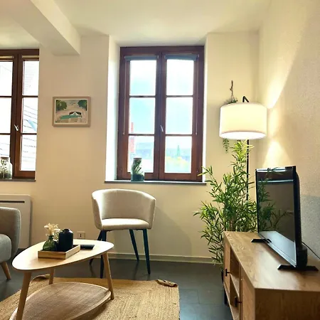 Cote Jardin Apartment Dijon
