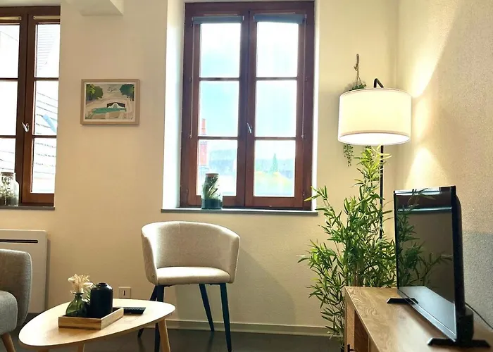 Cote Jardin 公寓 第戎