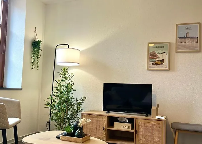 Cote Jardin 公寓 第戎