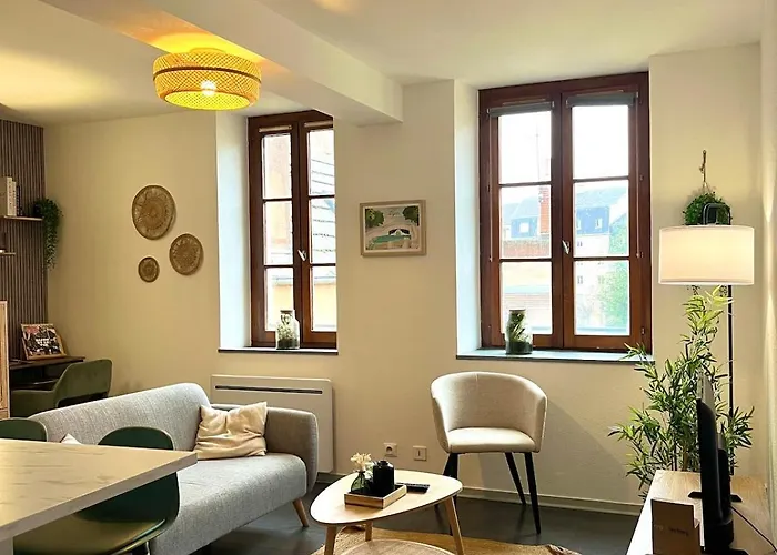 Cote Jardin 公寓 第戎